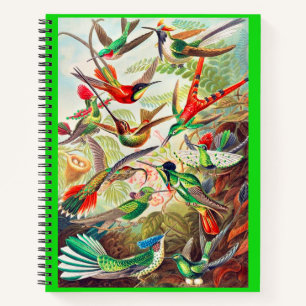 Cuaderno Humanidades de 1904