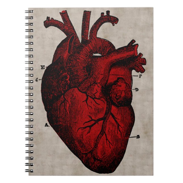 Cuaderno humano del corazón (Frente)
