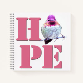Cuaderno Hummingbird de Pink Anna. Foto OH8 portátil 8x8