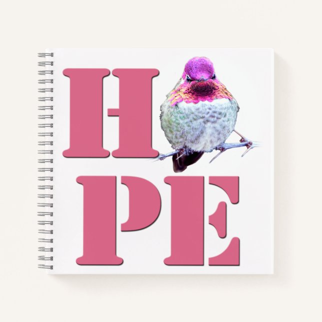 Cuaderno Hummingbird de Pink Anna. Foto OH8 portátil 8x8 (Anverso)
