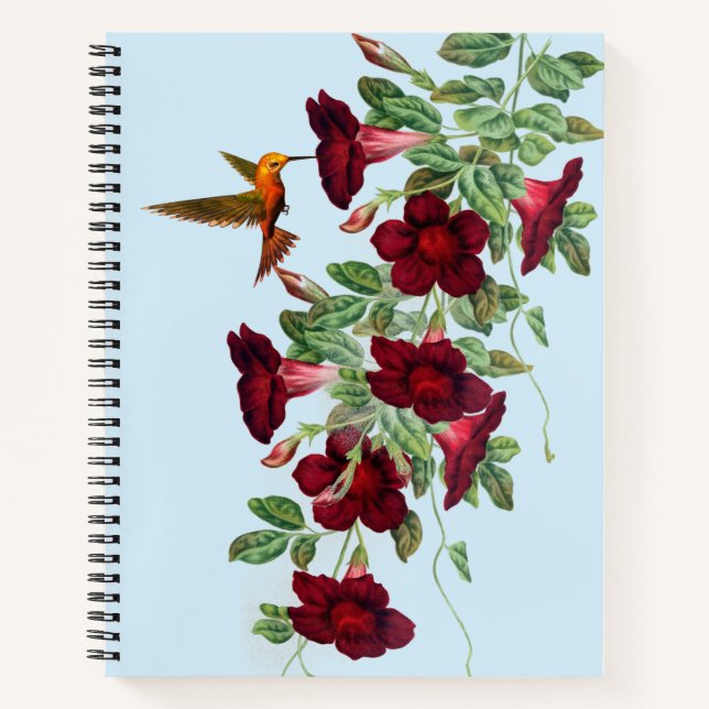 Cuaderno Hummingbird escribe sobre las flores rojas de mand (Anverso)