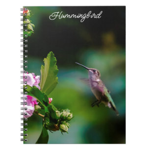 Cuaderno Hummingbird - Fotografía original