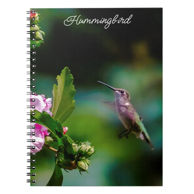 Cuaderno Hummingbird - Fotografía original (Frente)