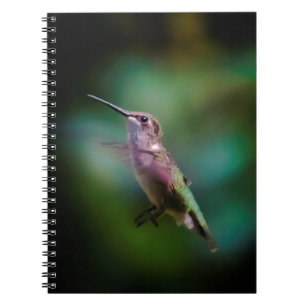 Cuaderno Hummingbird - Fotografía original