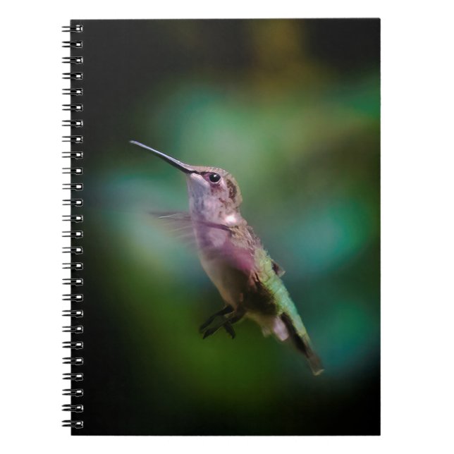 Cuaderno Hummingbird - Fotografía original (Frente)