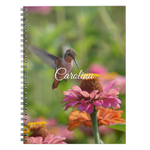 Cuaderno Hummingbird Zinnia Flowers