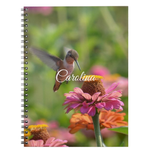 Cuaderno Hummingbird Zinnia Flowers (Frente)