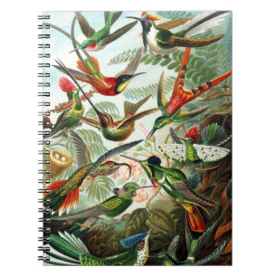 Cuaderno Hummingbirds por Ernst Haeckel