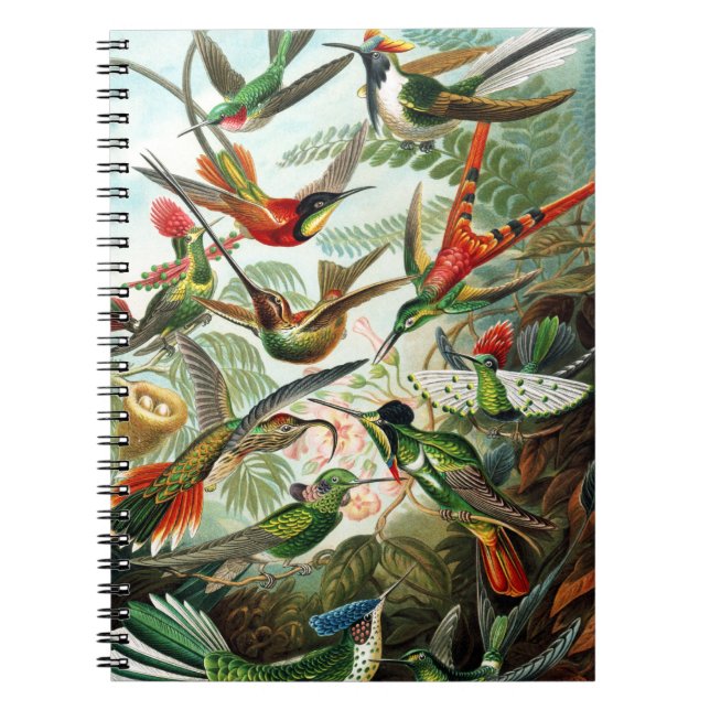 Cuaderno Hummingbirds por Ernst Haeckel (Frente)