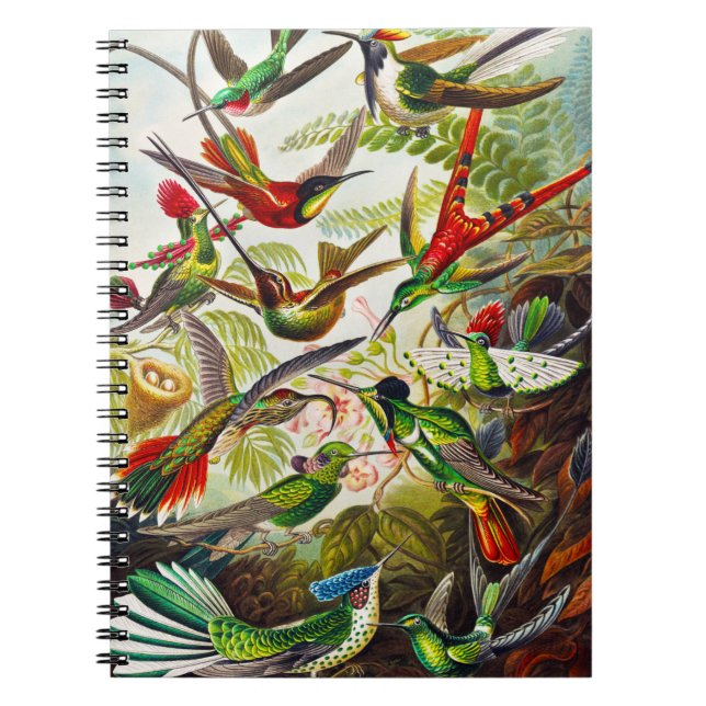 Cuaderno Hummingbirds por Ernst Haeckel (Frente)