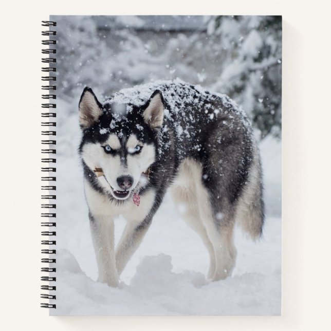 Cuaderno Husky en la nieve (Anverso)