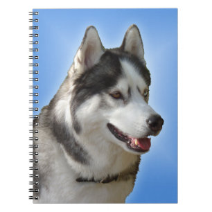 Cuaderno Husky Notebook: Regalos y libros siberianos Husky