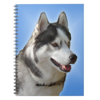 Cuaderno Husky Notebook: Regalos y libros siberianos Husky