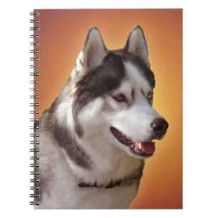 Cuaderno Husky Notebook: Regalos y libros siberianos Husky