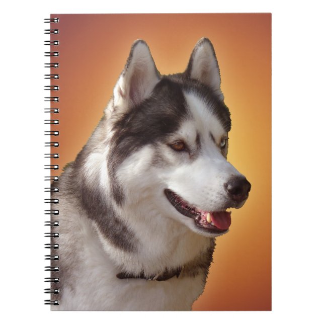 Cuaderno Husky Notebook: Regalos y libros siberianos Husky (Frente)