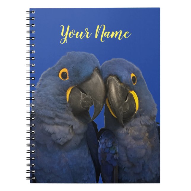 Cuaderno Hyacinin Macaw Parrot Bird Rare Blue (Frente)