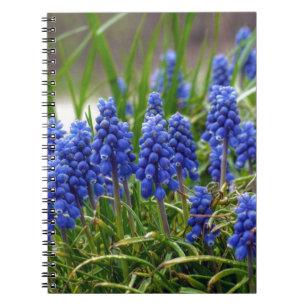 Cuaderno Hyacinth de uva