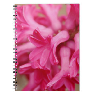 Cuaderno Hyacinth Pink
