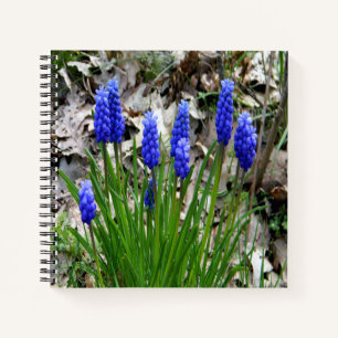 Cuaderno Hyacinths de uva...