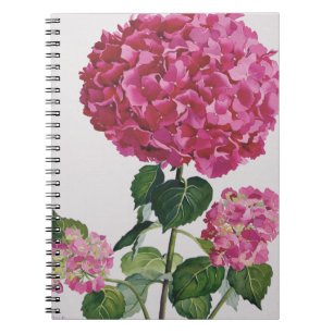 Cuaderno Hydrangea