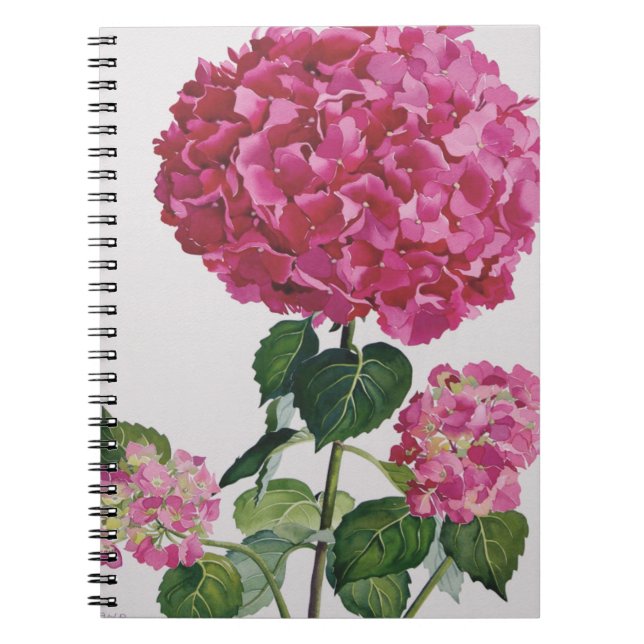 Cuaderno Hydrangea (Frente)