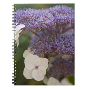 Cuaderno Hydrangea florece, jardín chino Dr. Sun Yat-Sen