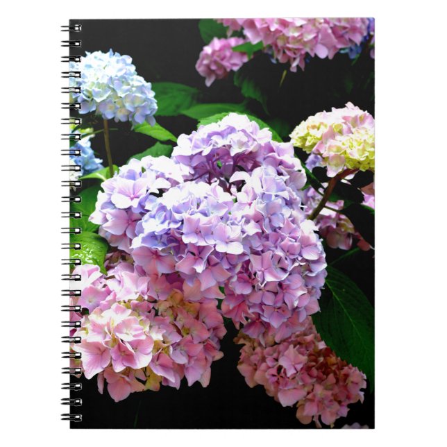 Cuaderno Hydrangea garden, rosa, azul, violeta floral (Frente)