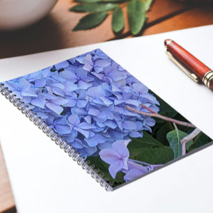Cuaderno Hydrangea Mophead Azul Floral en Flor