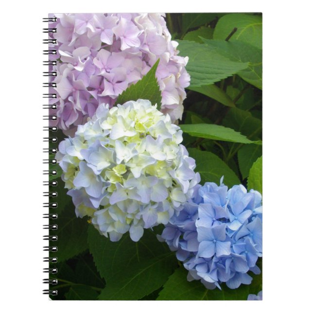 Cuaderno Hydrangeas (Frente)