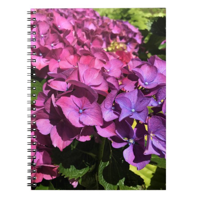 Cuaderno Hydrangeas (Frente)