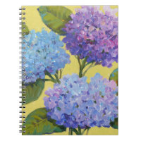 Hydrangeas de primavera