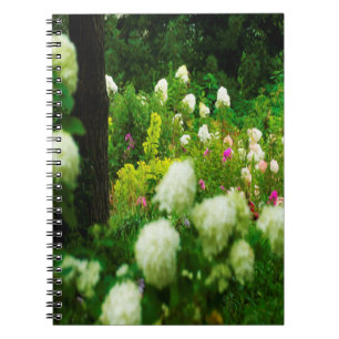 Cuaderno Hydrangeas Limelight en Mi Jardín Rubio