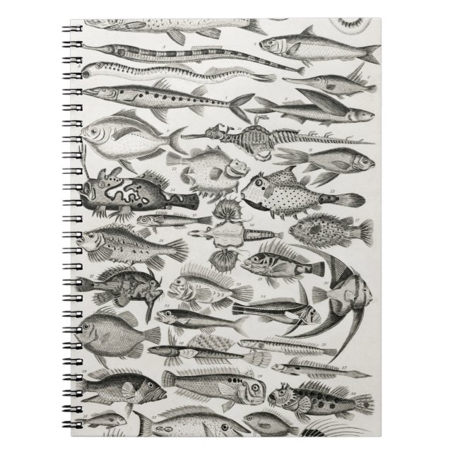 Cuaderno Ichtiología, ictiología, pescado, océano, ictiólog (Frente)