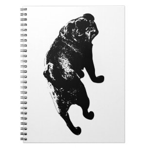 Cuaderno Idea de Intención, Arco de Ánimo