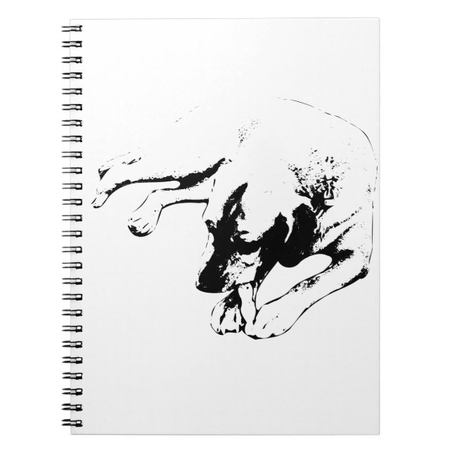 Cuaderno Ideas a seguir (Frente)