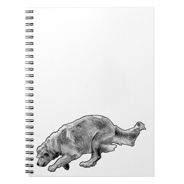 Cuaderno Ideas con un corredor especulado (Frente)
