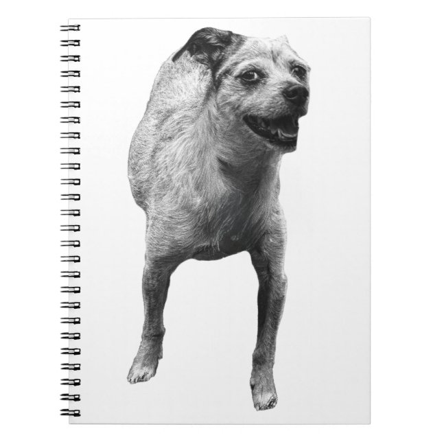 Cuaderno Ideas Con Una Mordaza (Frente)