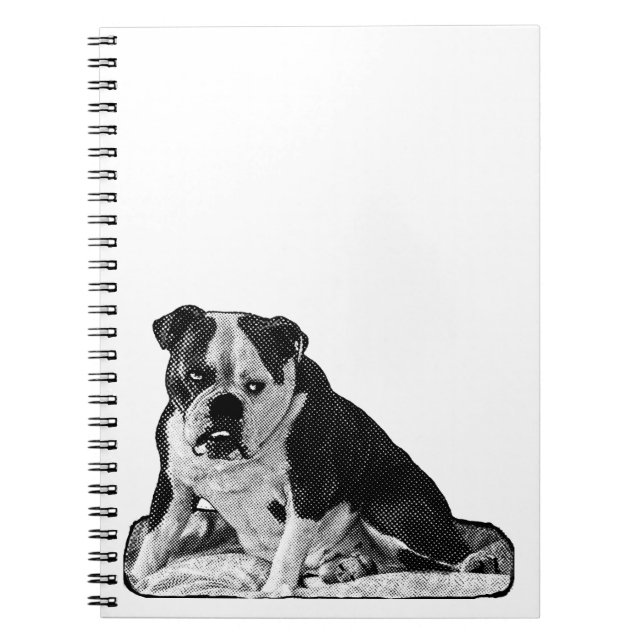 Cuaderno Ideas en tonos suaves (Frente)
