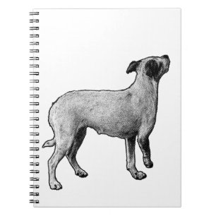 Cuaderno Ideas mirando