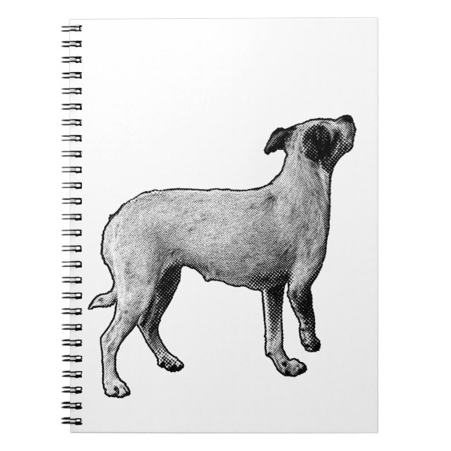 Cuaderno Ideas mirando (Frente)