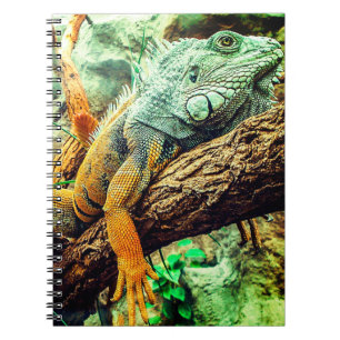 Cuaderno Iguana