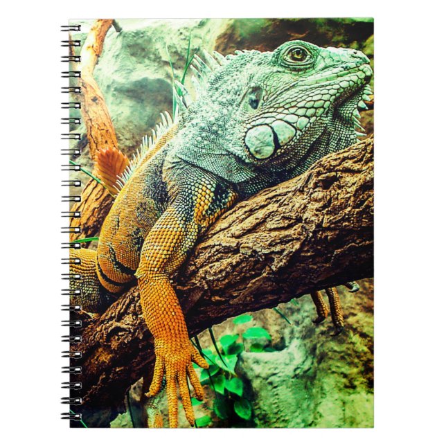 Cuaderno Iguana (Frente)