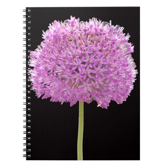 Cuaderno Illium Summer Spring Flower - Diseño irlandés (Frente)