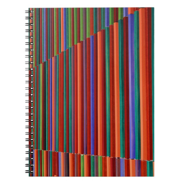 Cuaderno Ilustracion a rayas multicolor (Frente)