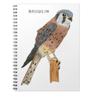 Cuaderno Ilustracion americano de aves de Kestrel