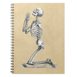 Cuaderno Ilustracion Anatomy Skeleton