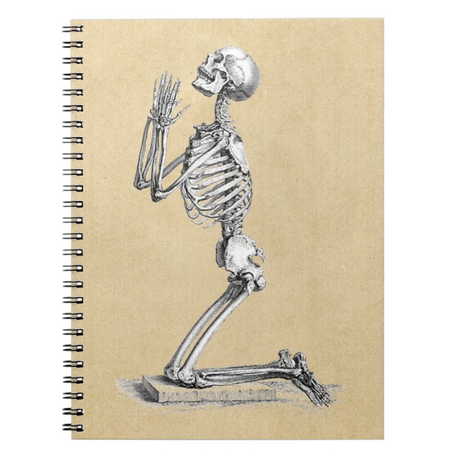 Cuaderno Ilustracion Anatomy Skeleton (Frente)