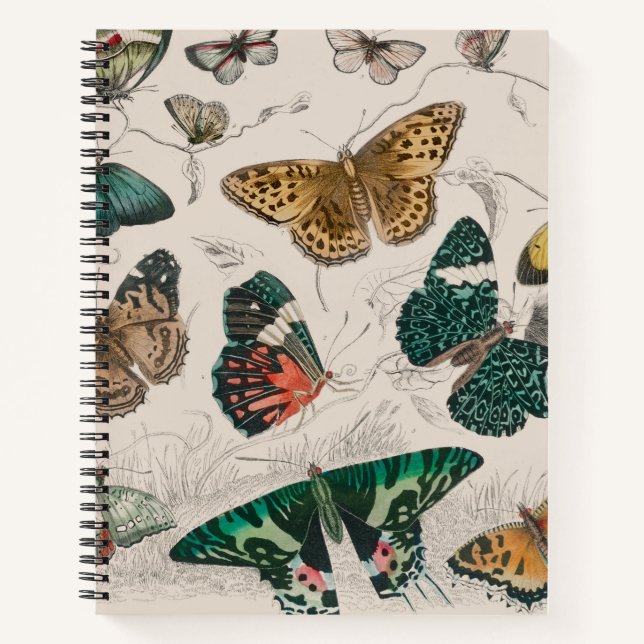Cuaderno Ilustración antigua de mariposa: Orfebre de 1820 (Anverso)