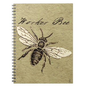 Cuaderno Ilustración Antigüedad Insecto Abeja Obrera Vintag