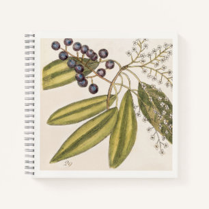 Cuaderno Ilustración botánica azul y blanca del siglo XVIII
